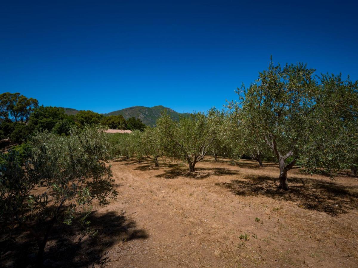 Holiday Home Rutili - Josée - CTN255 Cervione Exterior foto